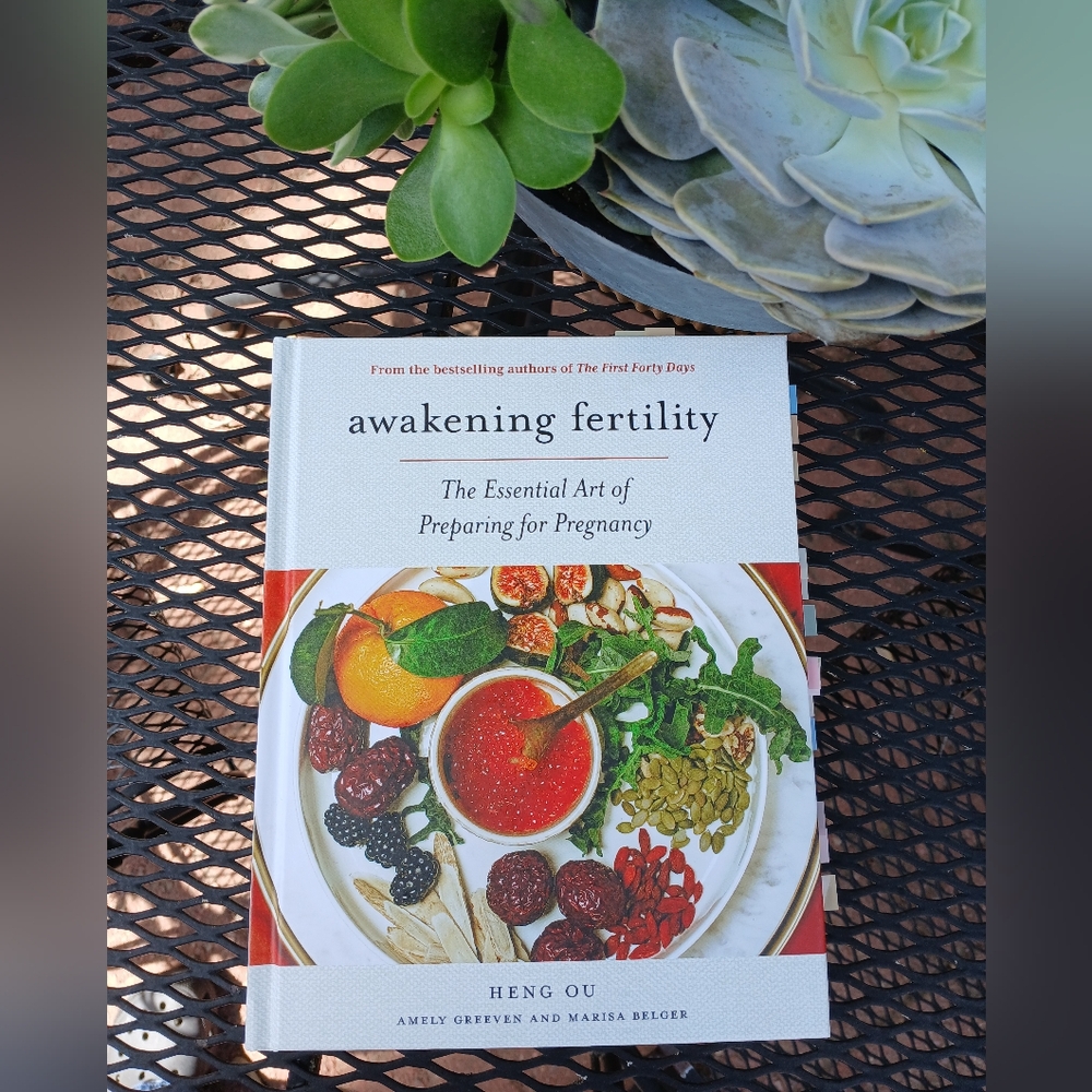 Awakening Fertility: The Essential Art of Preparing for Pregnancy